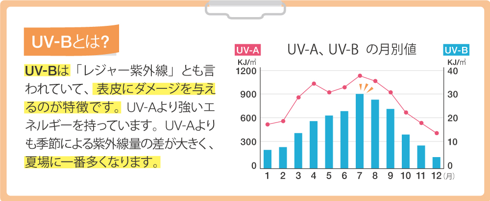 2020年皮ふの日通信７月号、肌ダメージとリポソーム