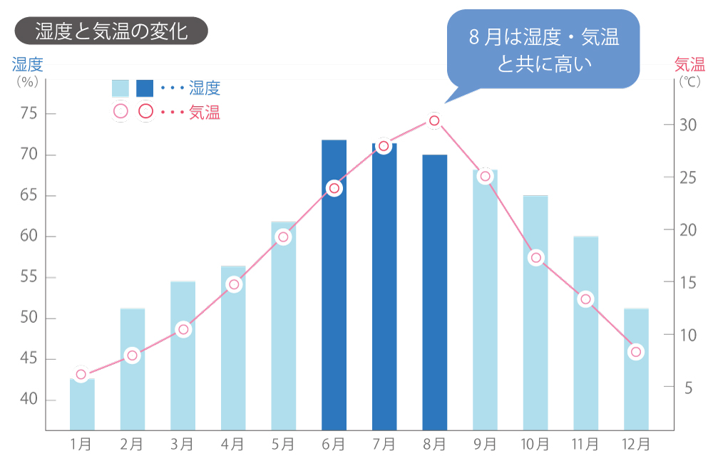 株式会社EBM　2020皮ふの日通信8月号