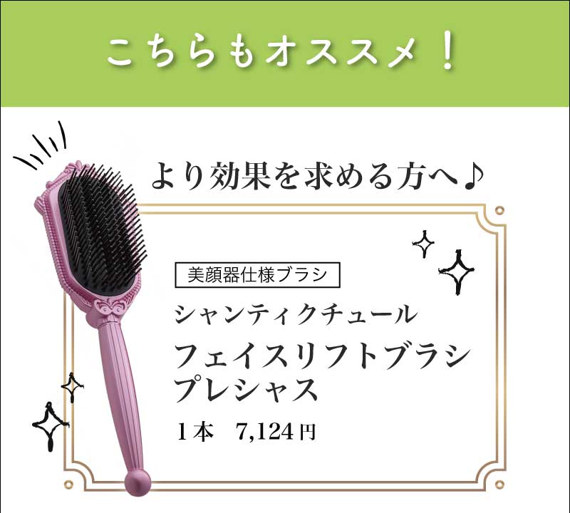 美髪ブラシ E エナジーヘアブラシ Ebm
