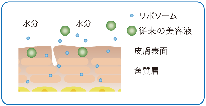 ルナゾーム公式サイト[