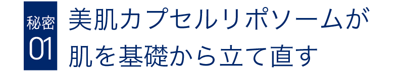 美肌カプセルリポソームが肌を基礎から立て直す